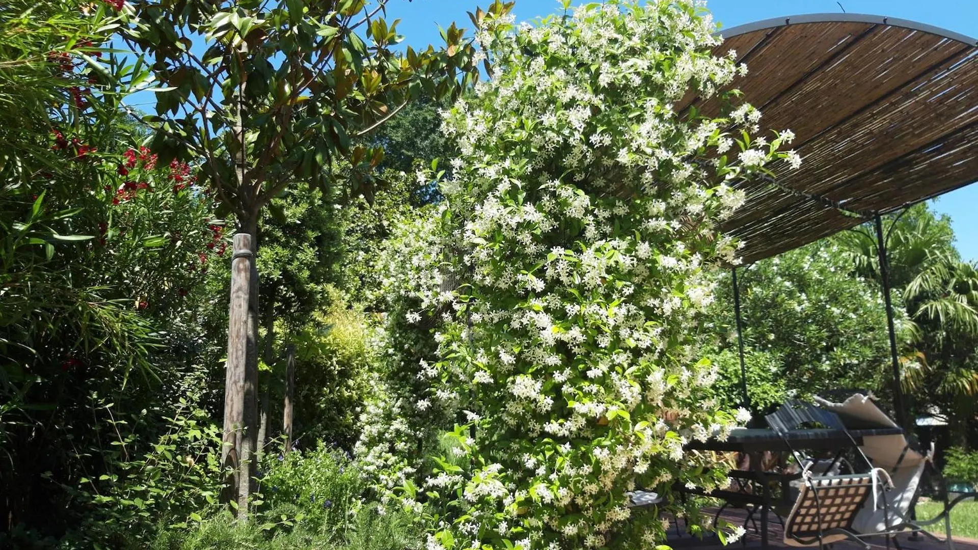 Holiday home Sweetness - 8P - Family House With Garden Villa Blagnac